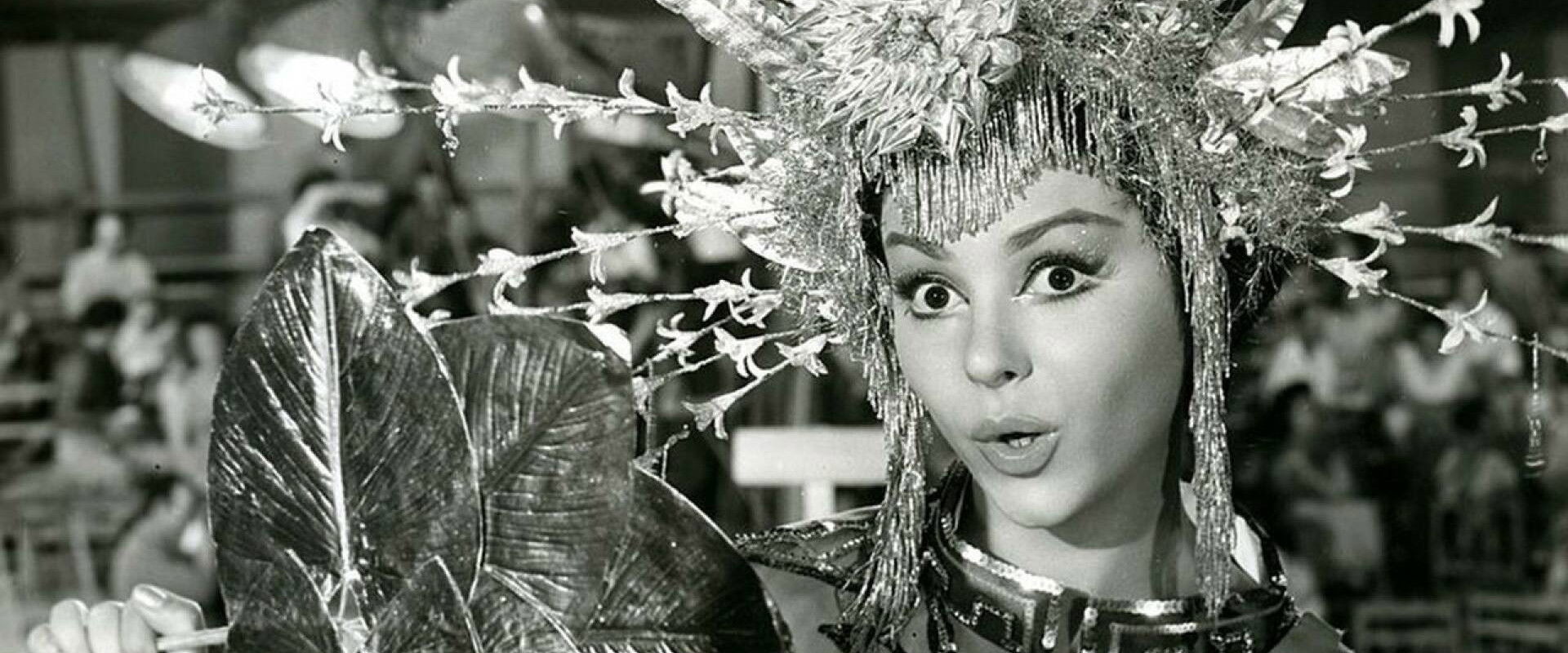 Pelusa's banner image