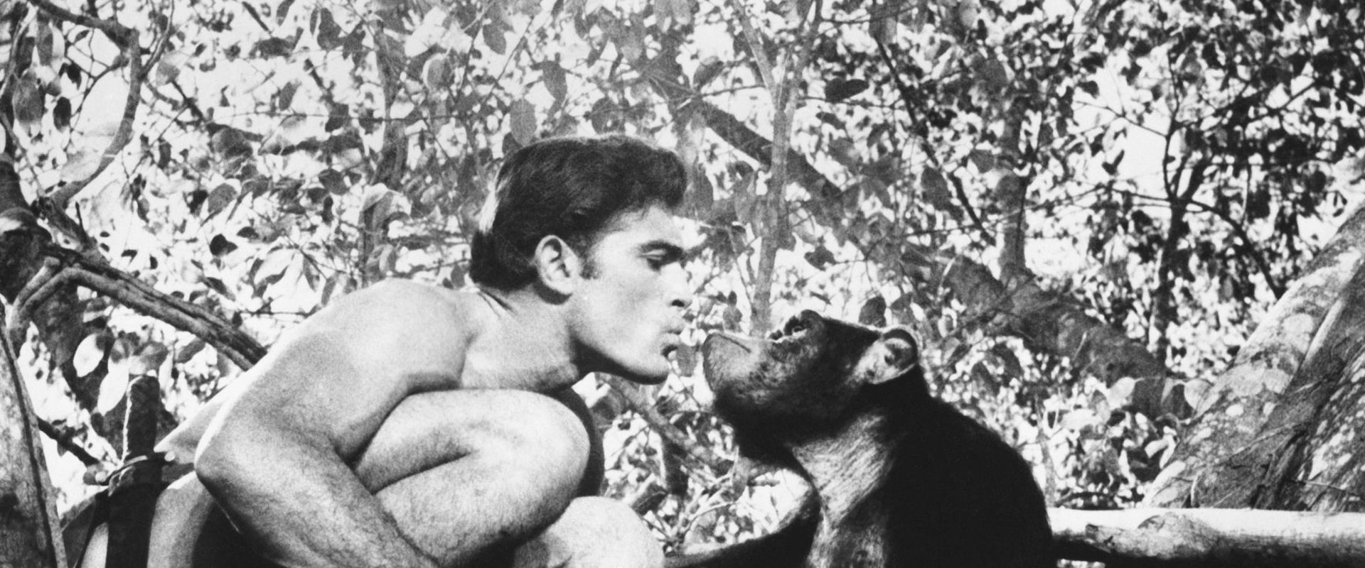 Tarzan and the Valley of Gold