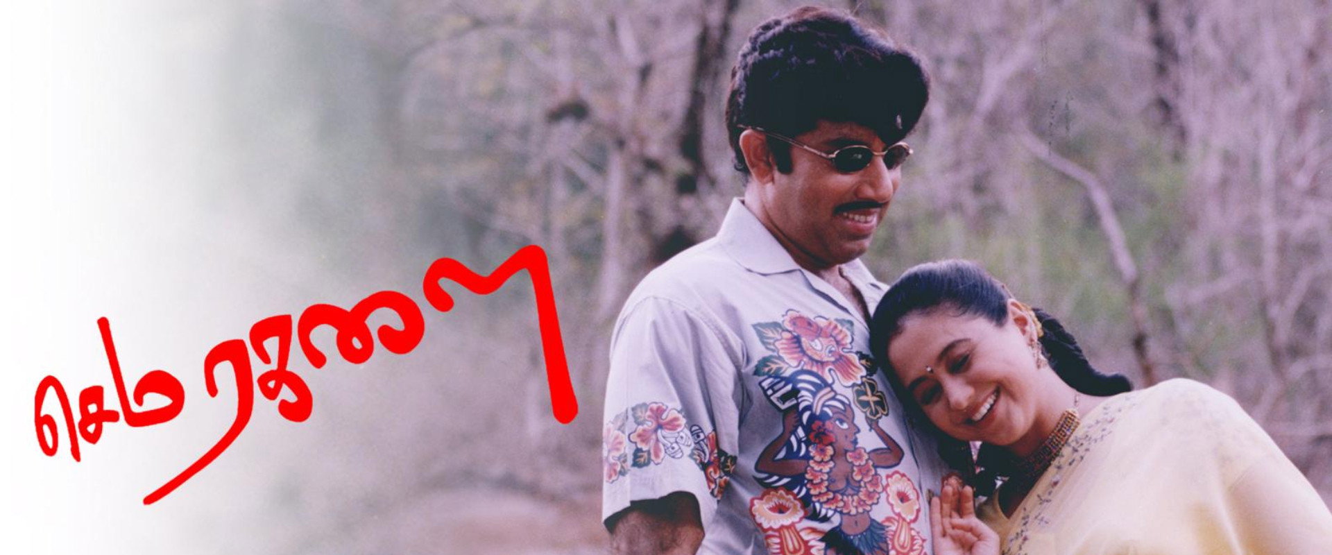 Sema Ragalai's banner image