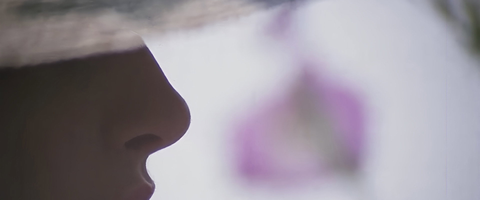 Sexual Perversions of a Married Woman's banner image