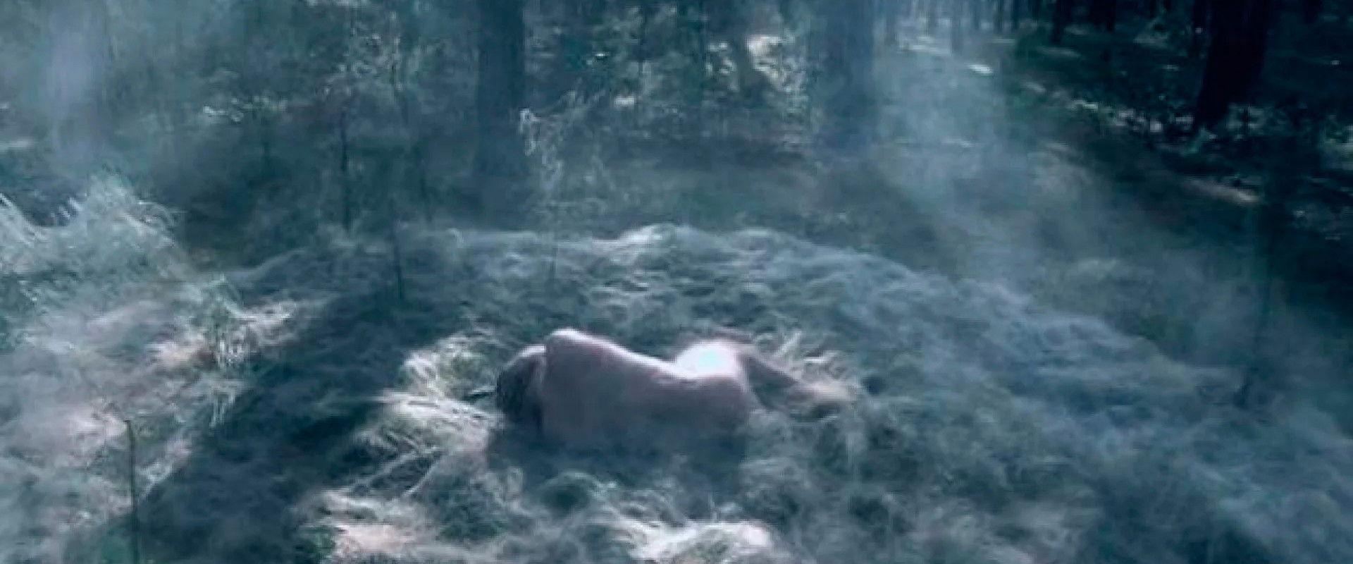 Extraterrestrial's banner image