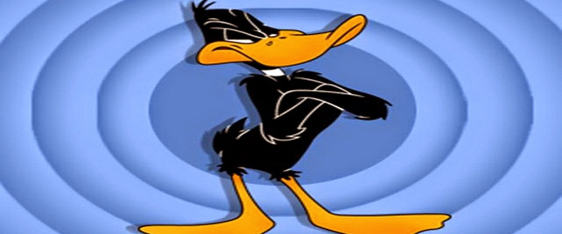The Daffy Duck Show