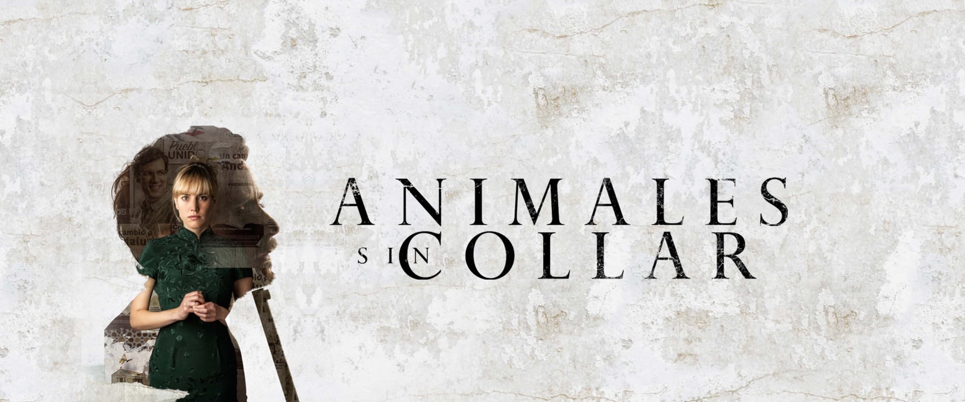 Animales sin collar