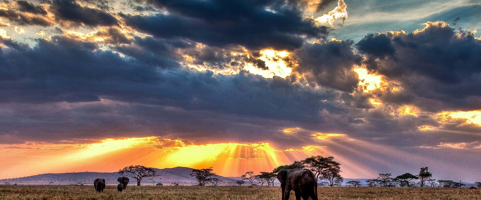 Nomads of the Serengeti