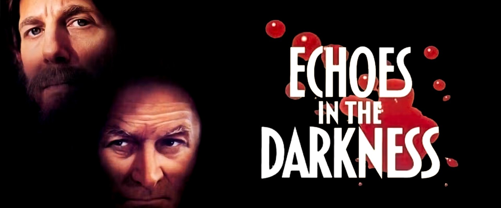 Echoes in the Darkness