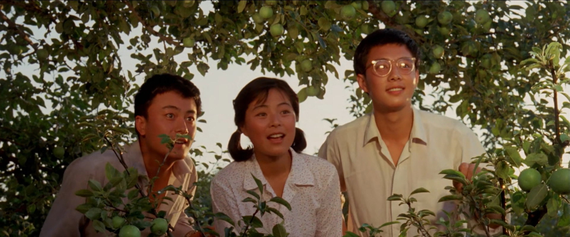 瓜熟蒂落's banner image