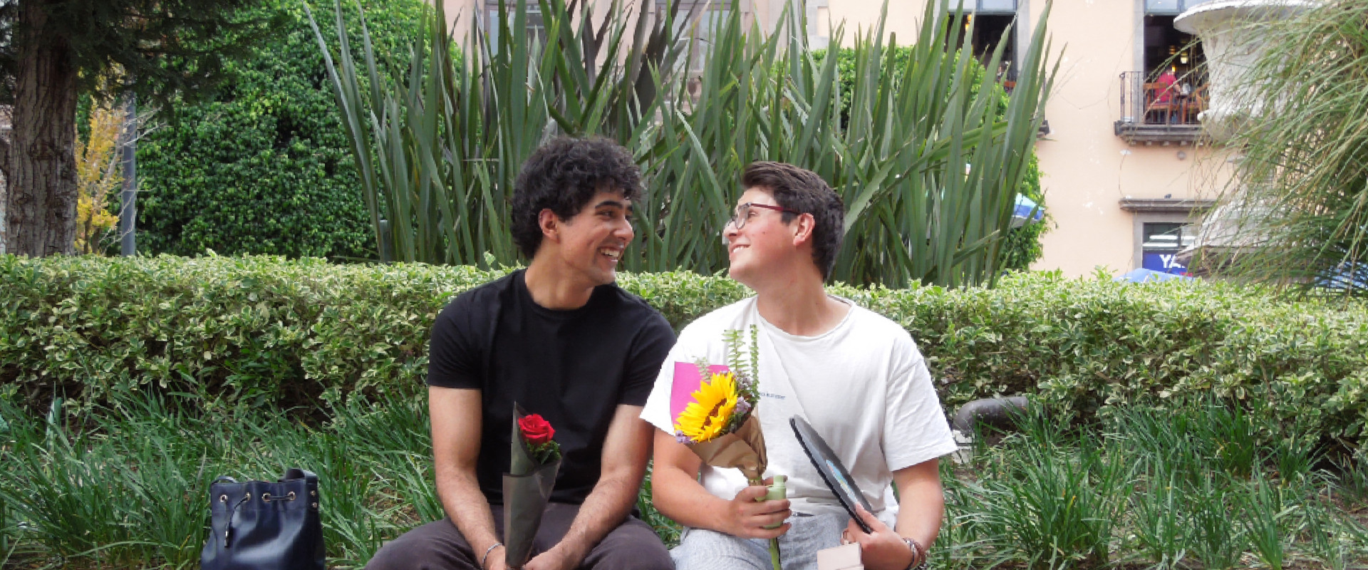 El Corazón como Jarrón's banner image