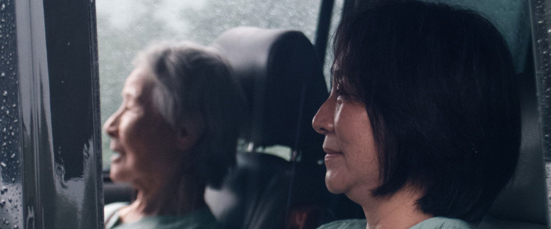 After the Cat's banner image