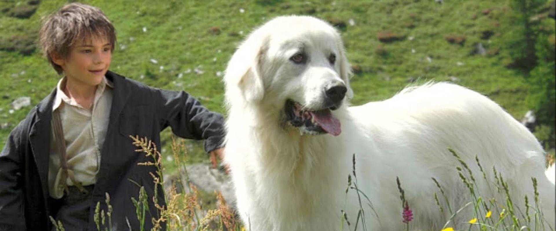 Belle et Sébastien