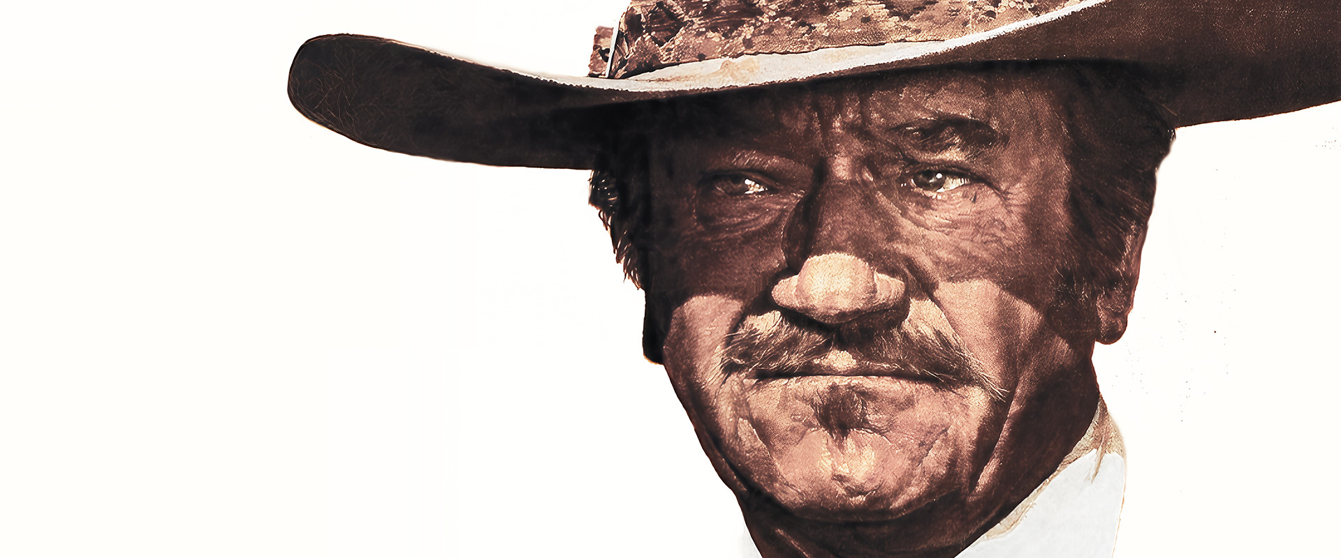 The Shootist's banner image