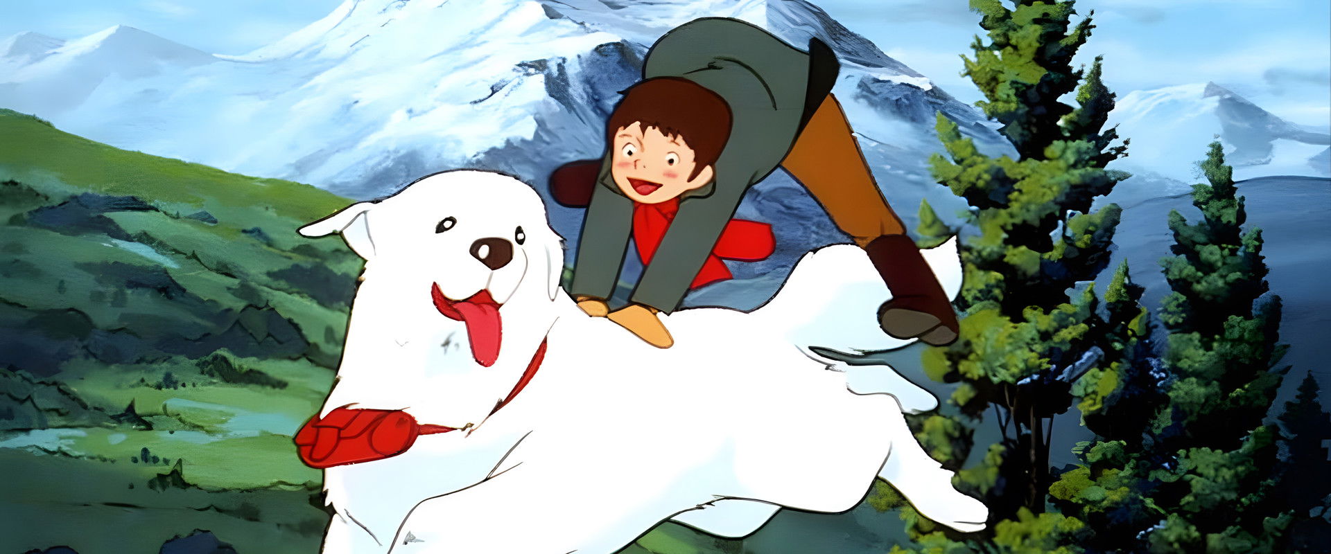 Belle and Sebastian's banner image