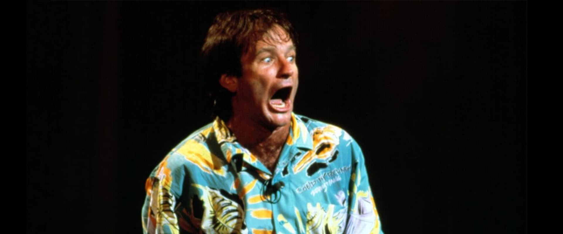 Robin Williams: An Evening at the Met