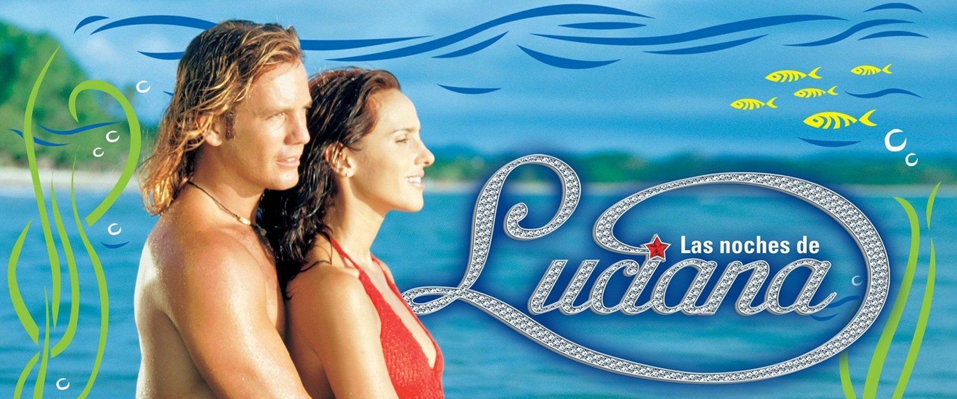 Luciana's Nights