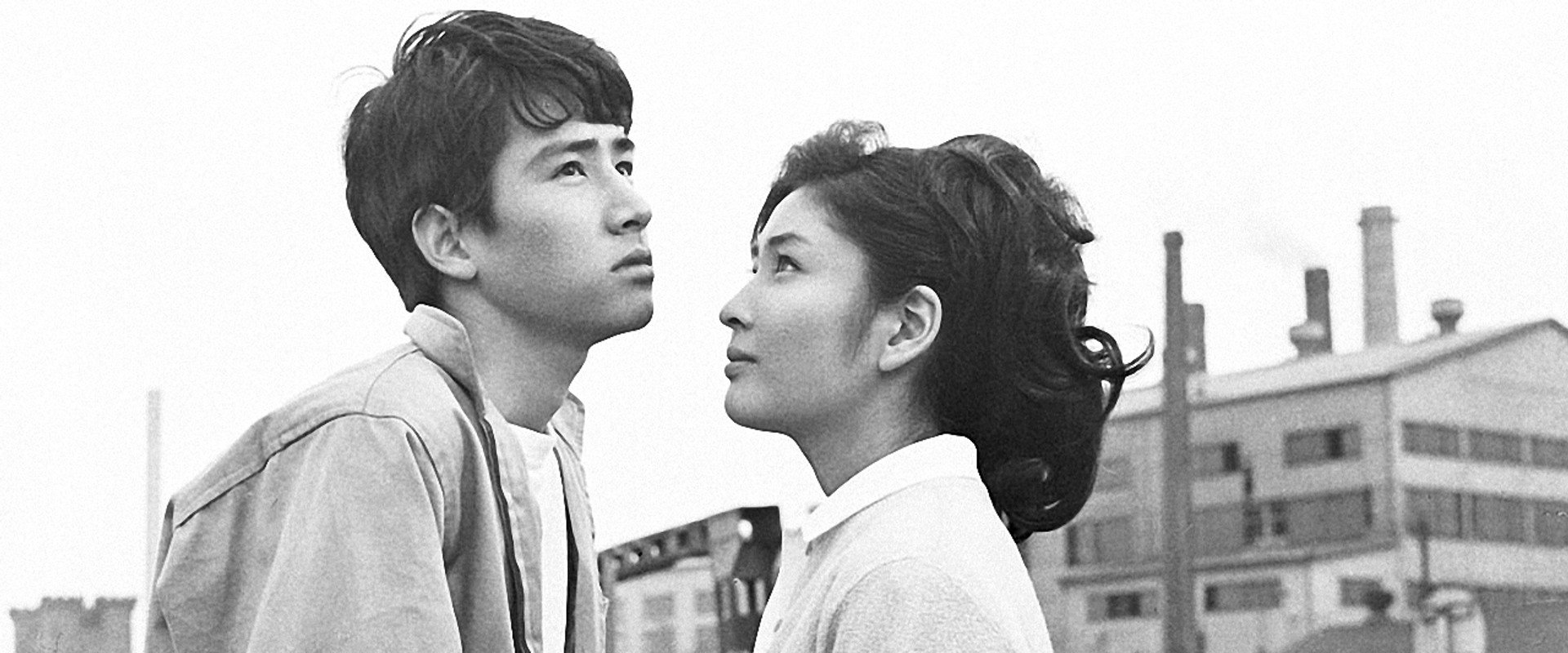 The Soundless Cry's banner image