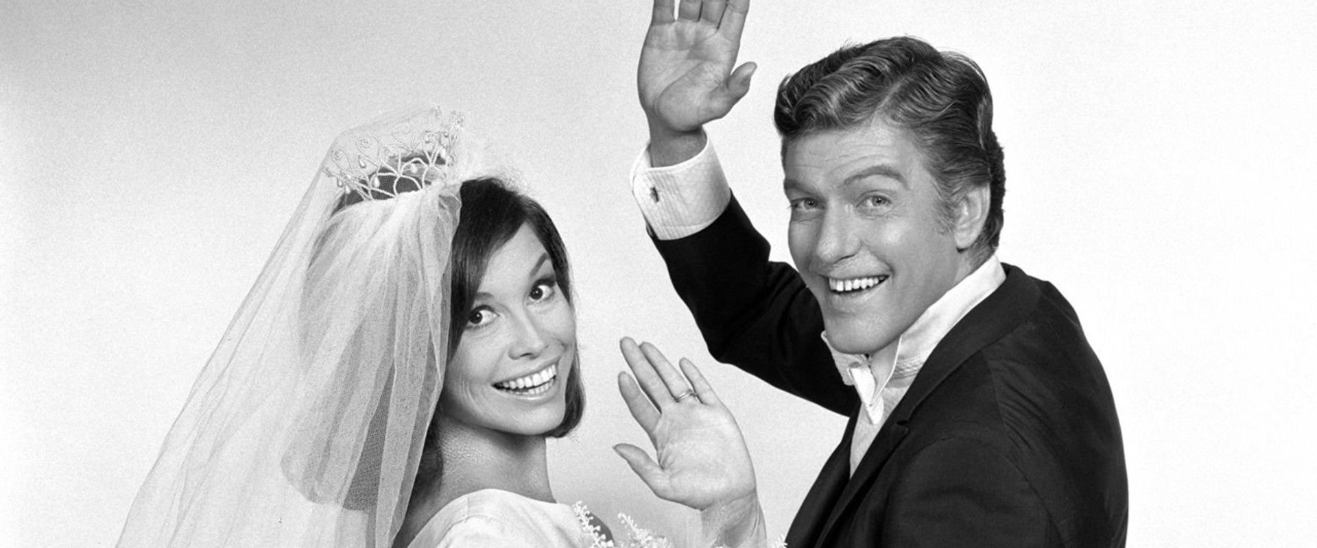 Dick Van Dyke and the Other Woman's banner image