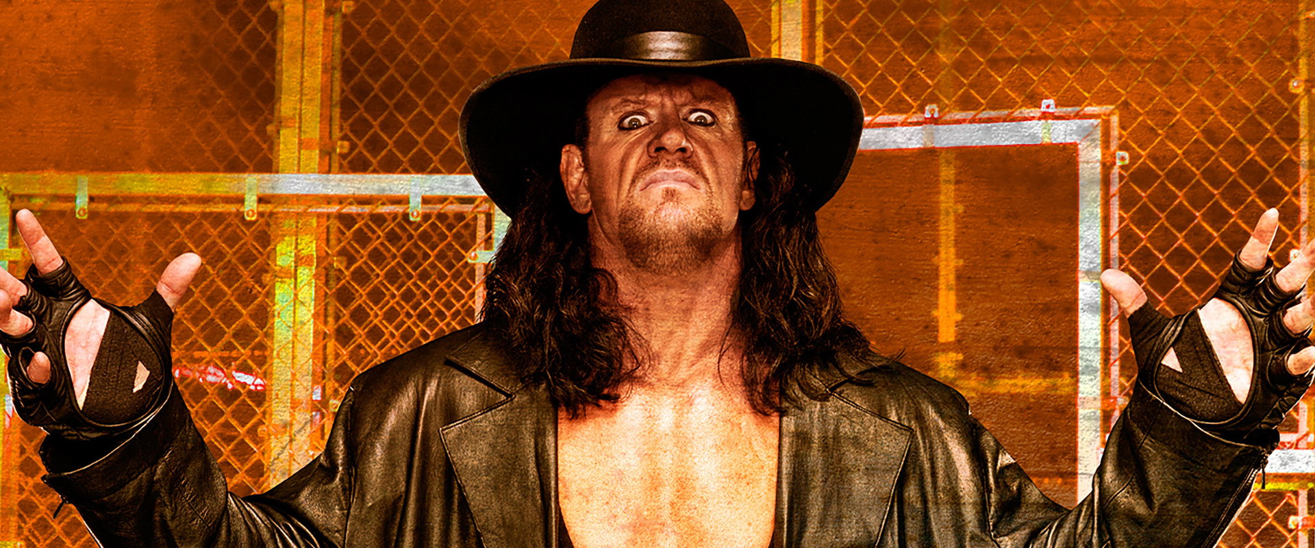 WWE Hell in a Cell 2009's banner image