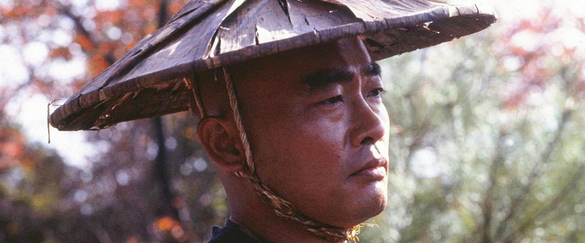 Shinran: Path to Purity's banner image