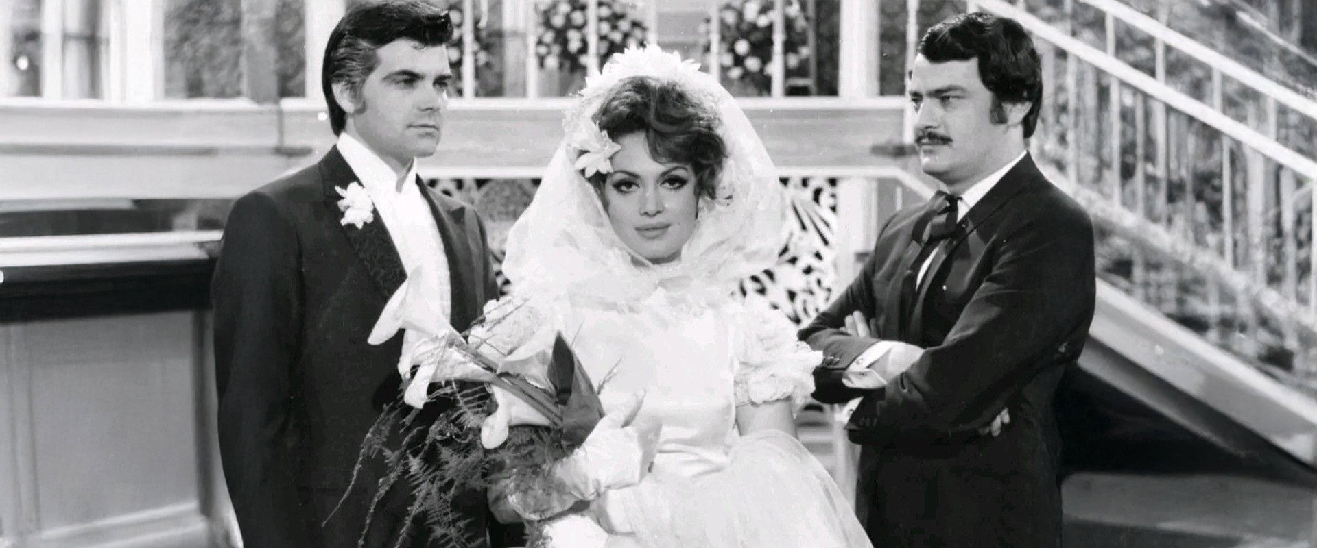 Bülbül Yuvası's banner image