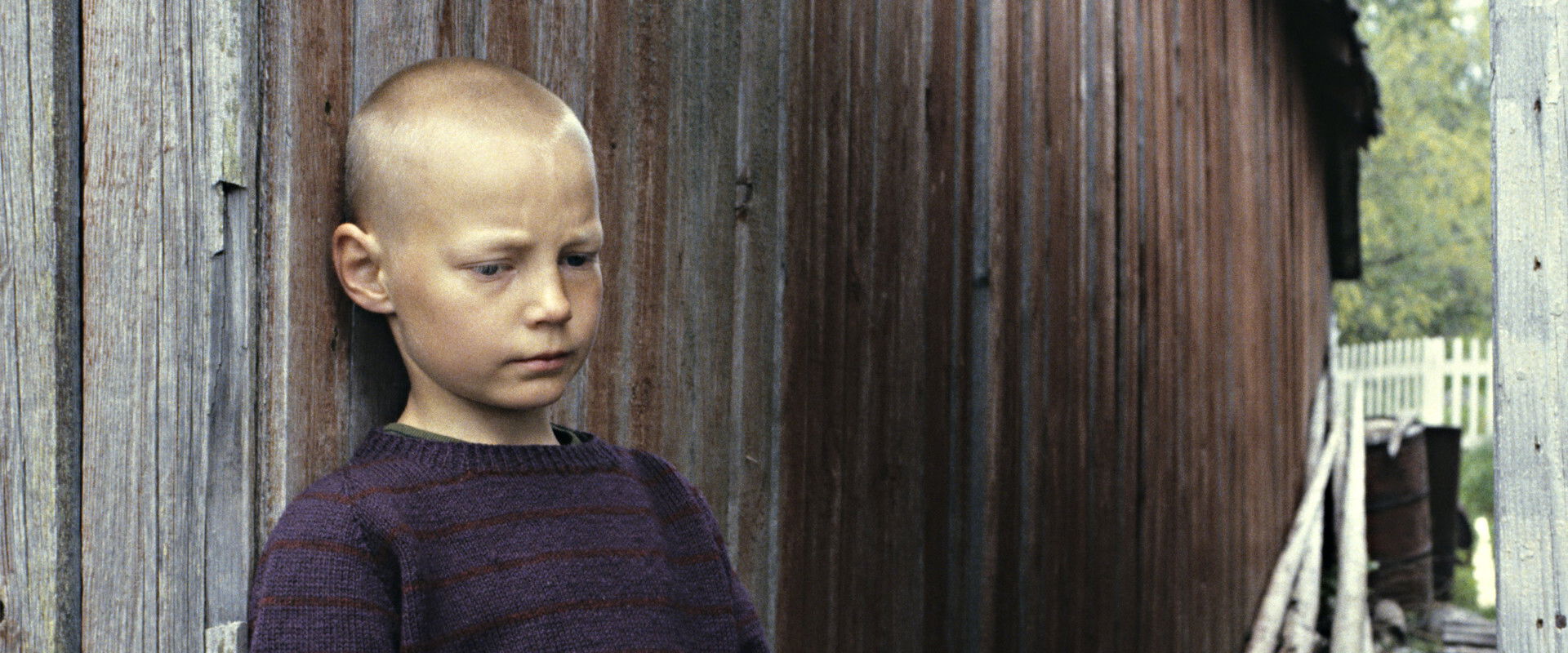 Minä, siili ja trumpetti's banner image