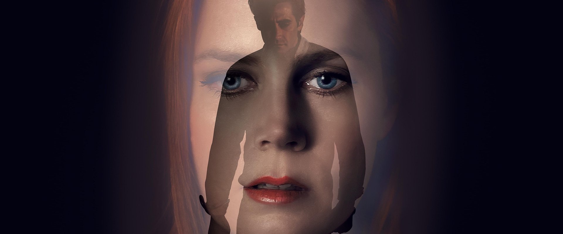 Nocturnal Animals