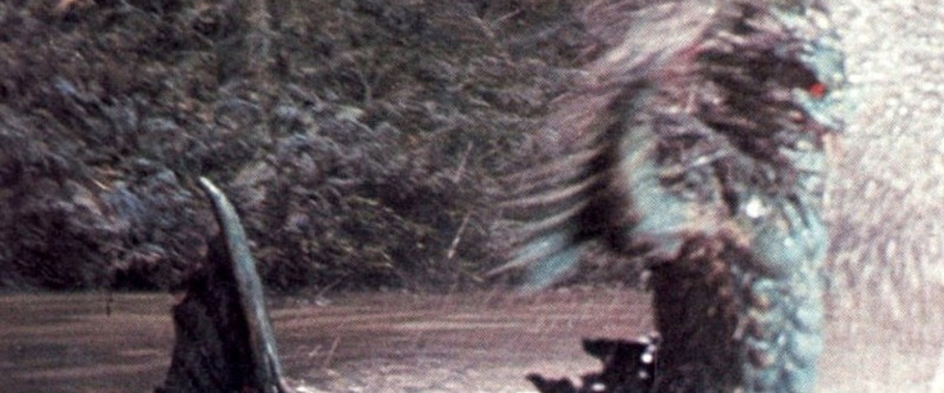 Exorcising Sword's banner image