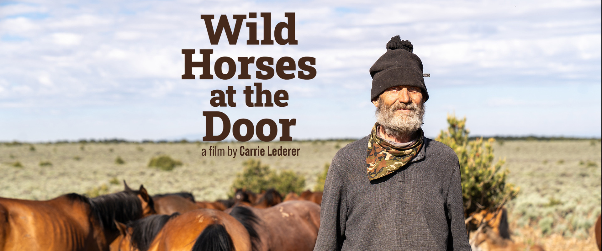 Wild Horses at the Door