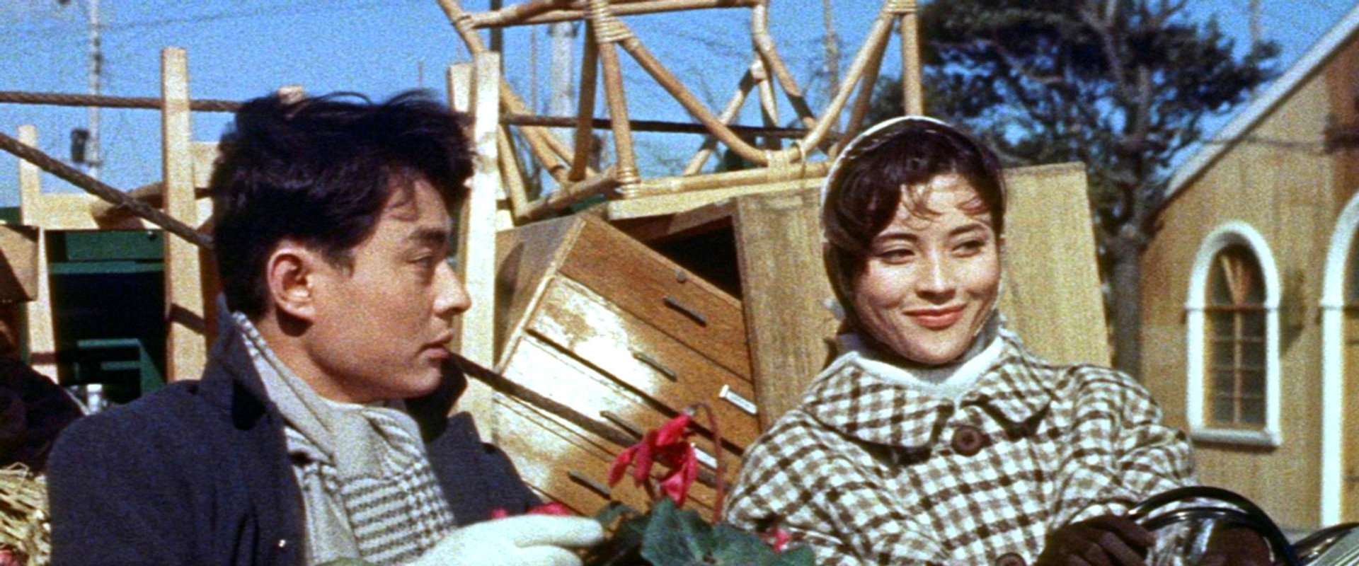 Bridge's banner image