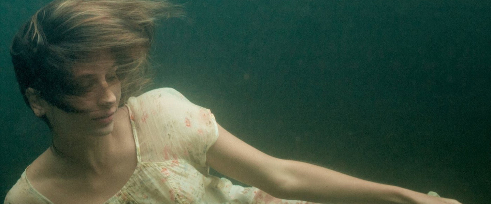 Elena's banner image
