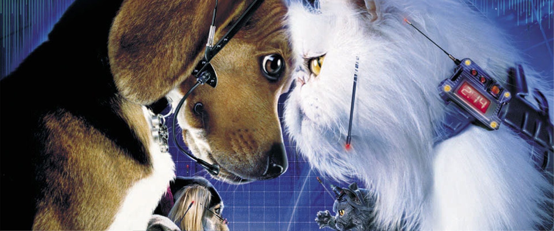 Cats & Dogs