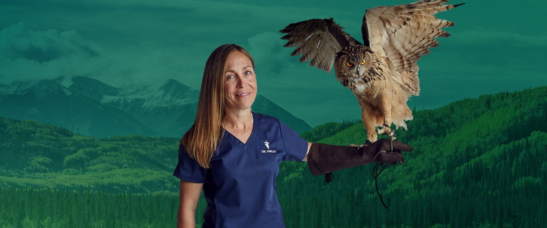 Dr. Oakley, Yukon Vet