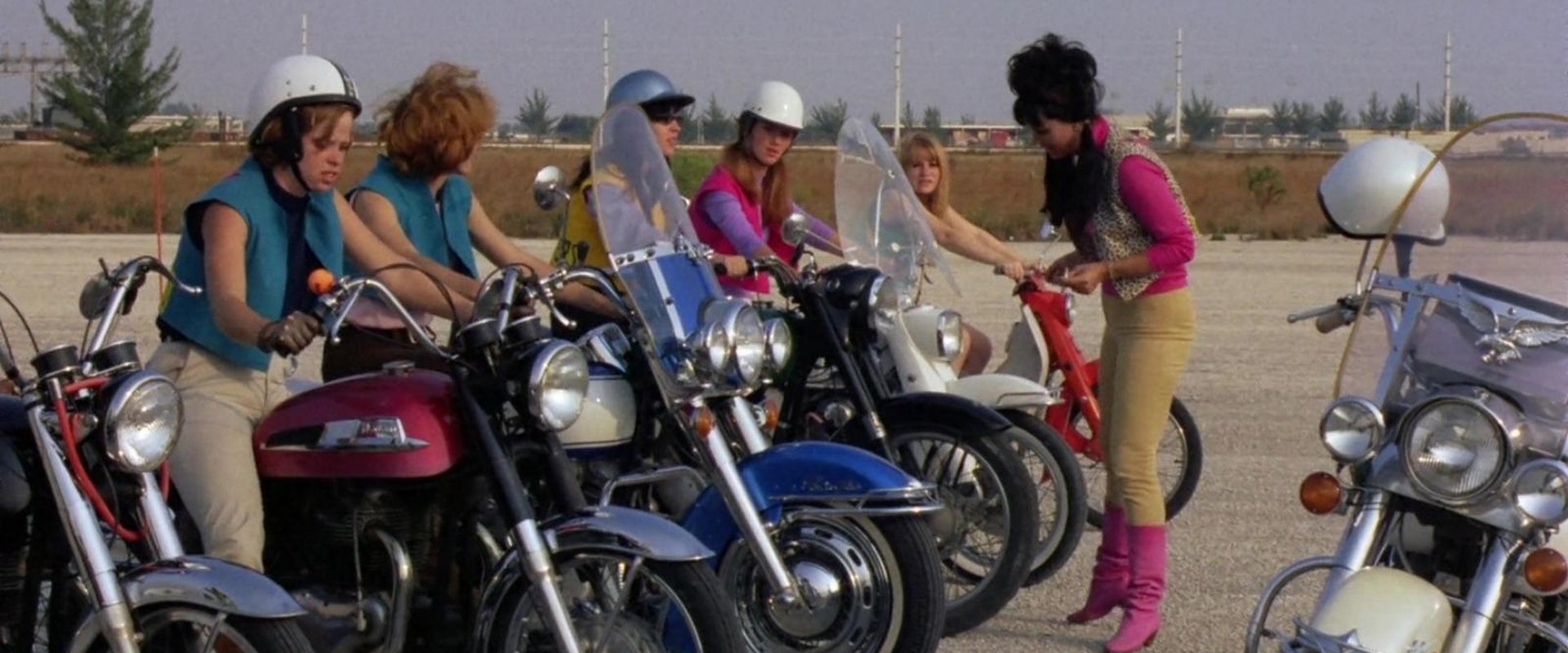 She-Devils on Wheels
