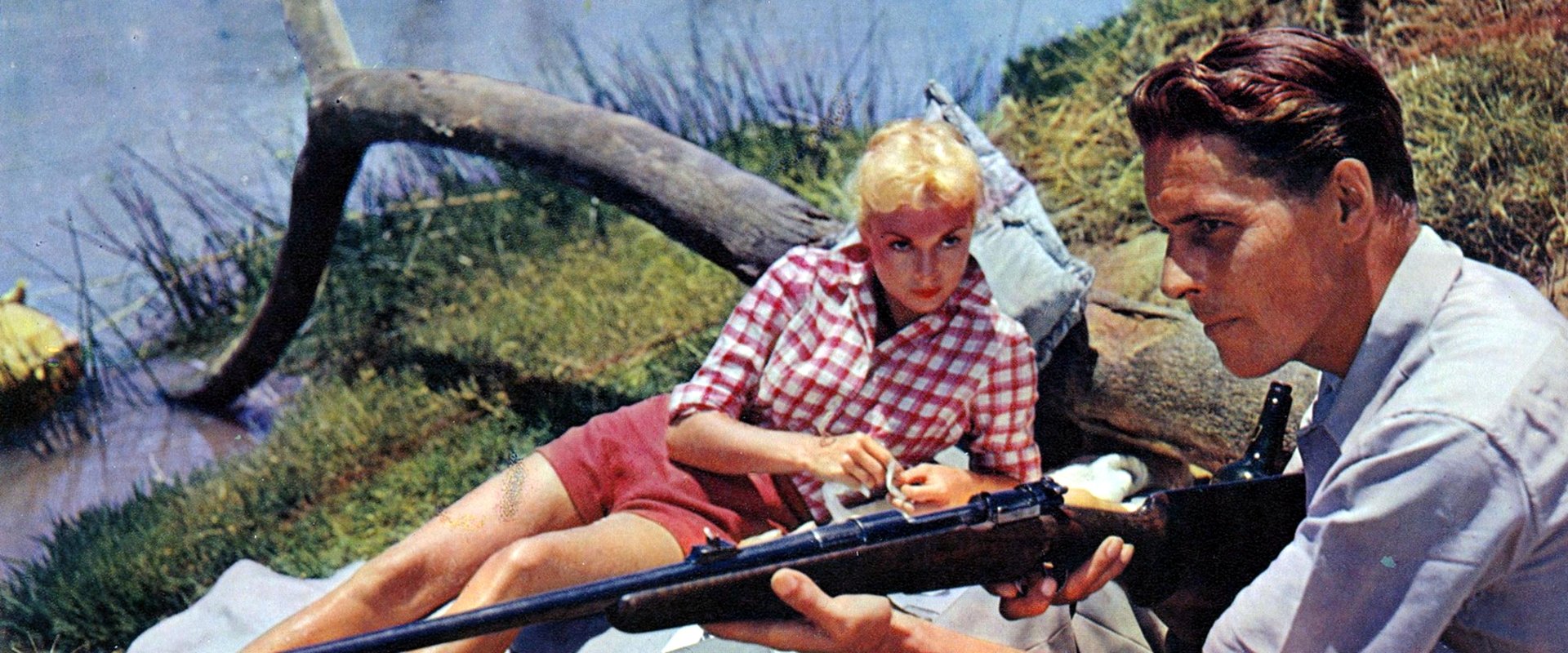 Safari