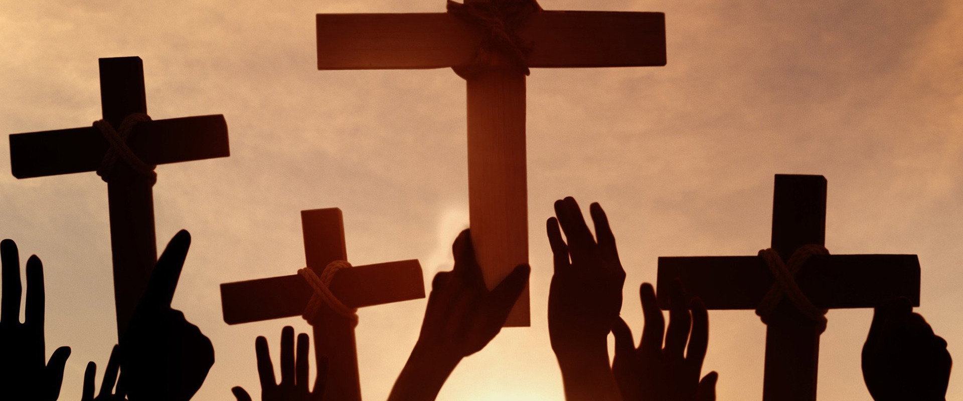 People Magazine Investigates: Cults