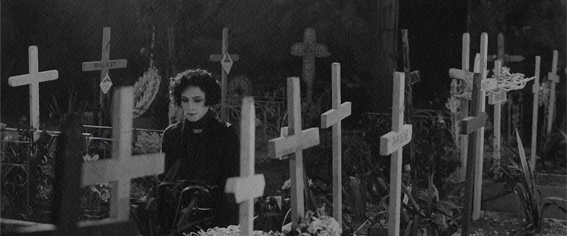 The Poster's banner image