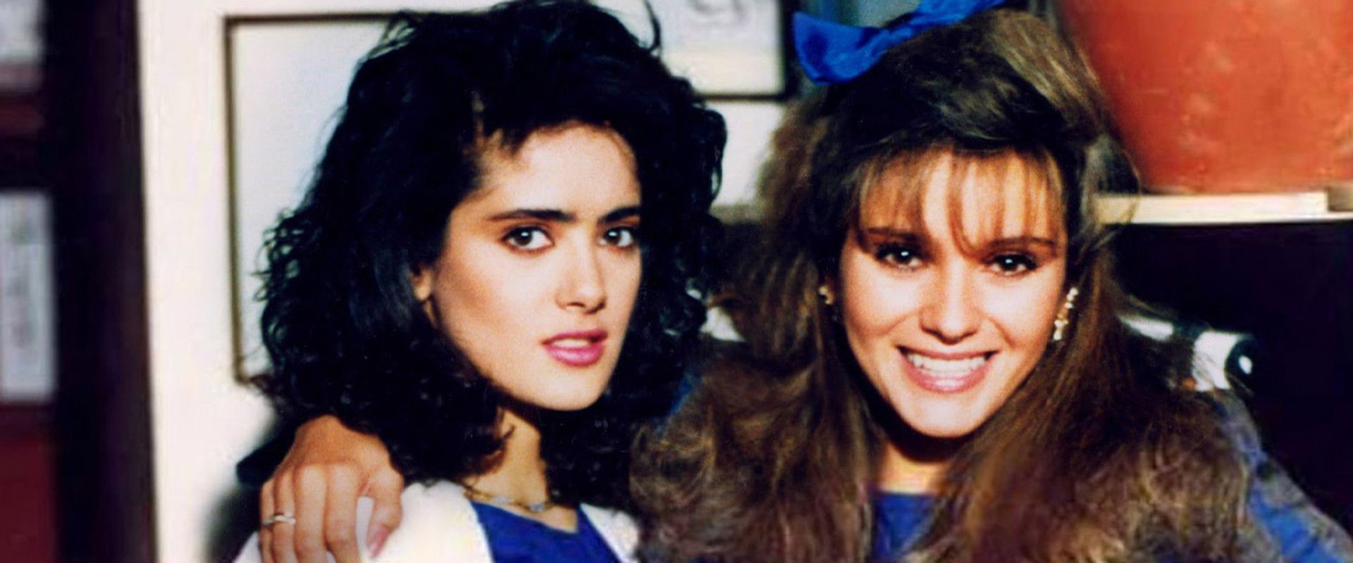 Nuevo amanecer's banner image