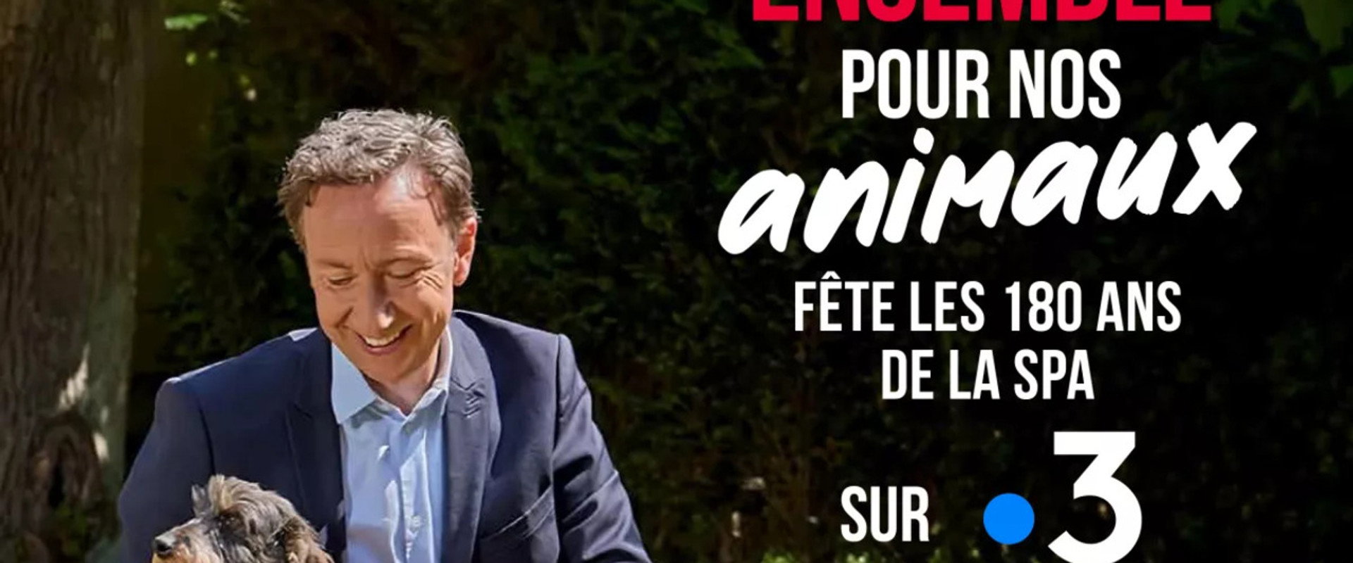 Ensemble pour nos animaux - fête les 180 ans de la SPA's banner image