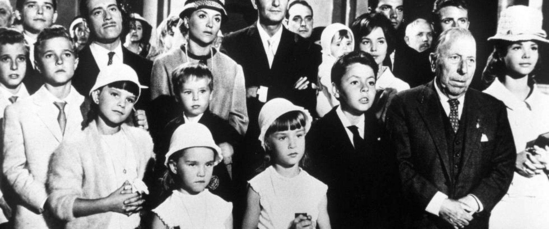 The Big Family's banner image