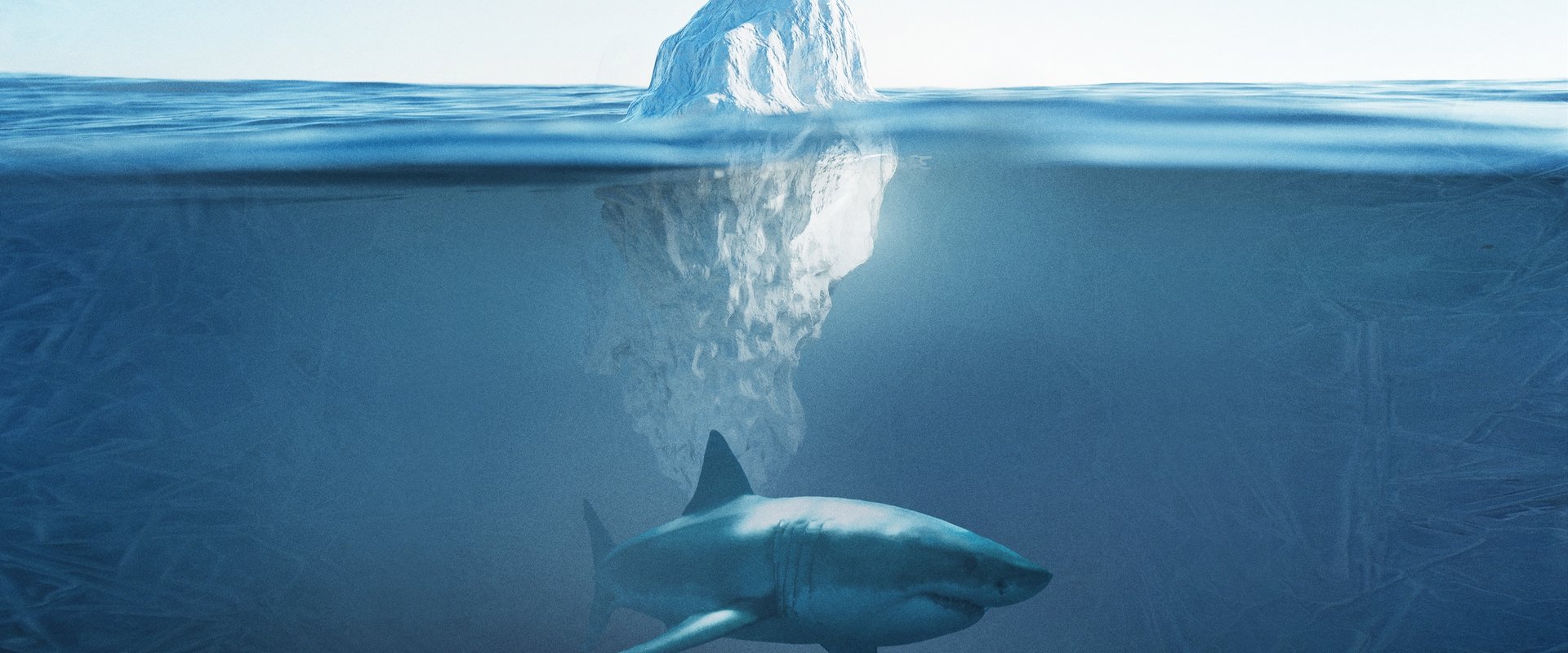 Shark Below Zero