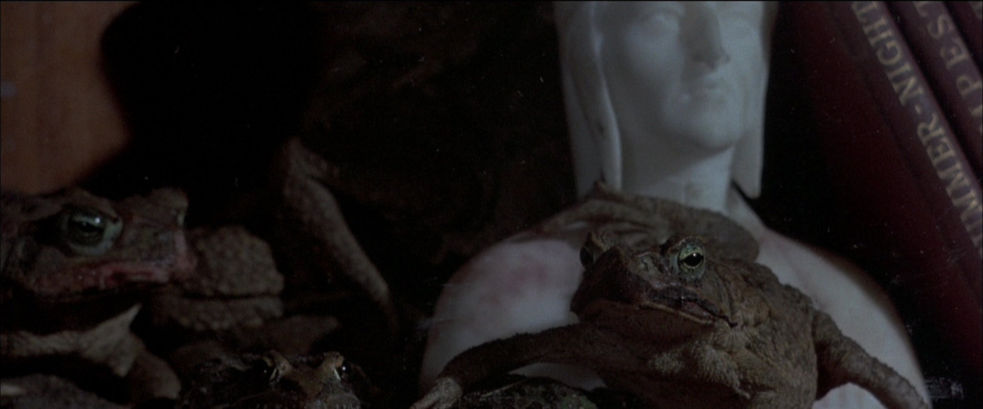 Frogs