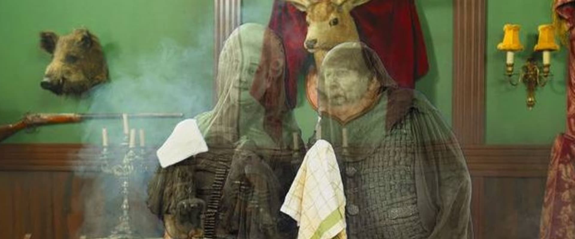 Mysteriet på Greveholm - Grevens återkomst's banner image