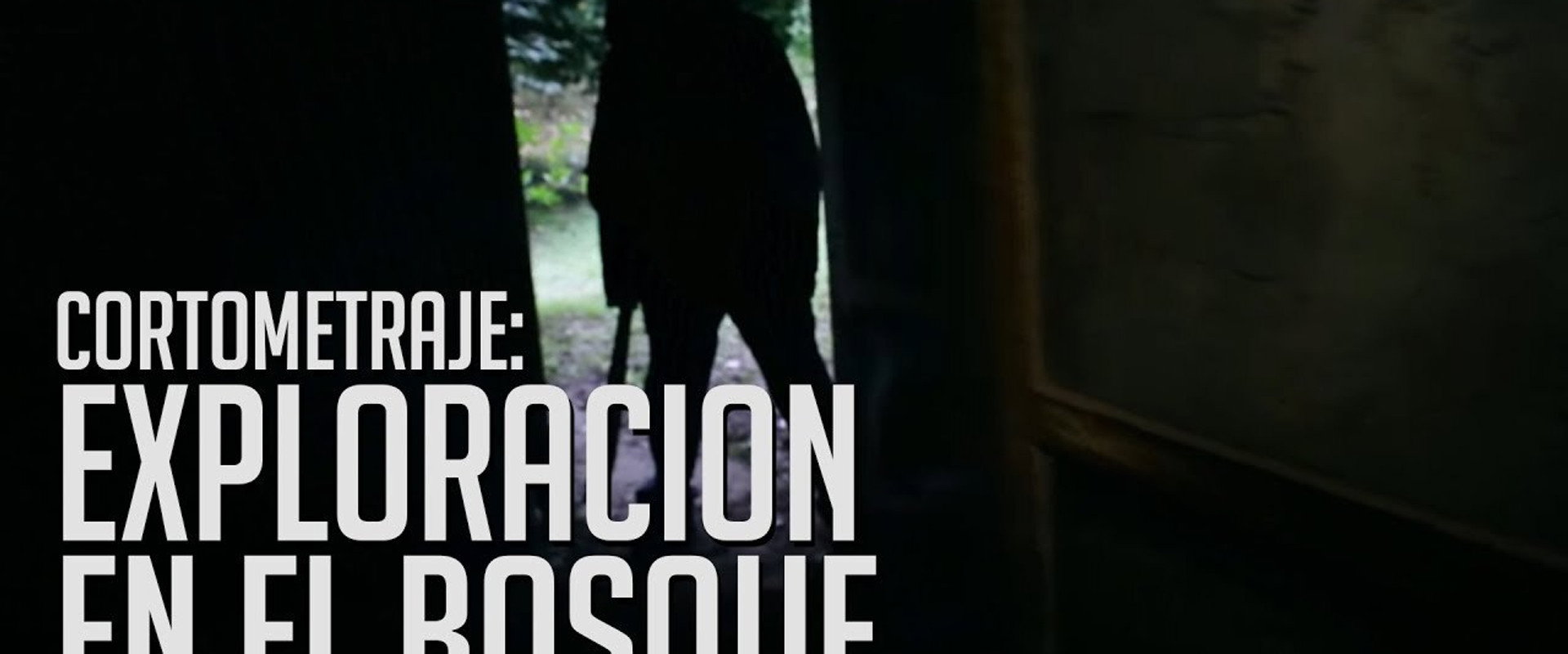 Trágica exploración en el Bosque