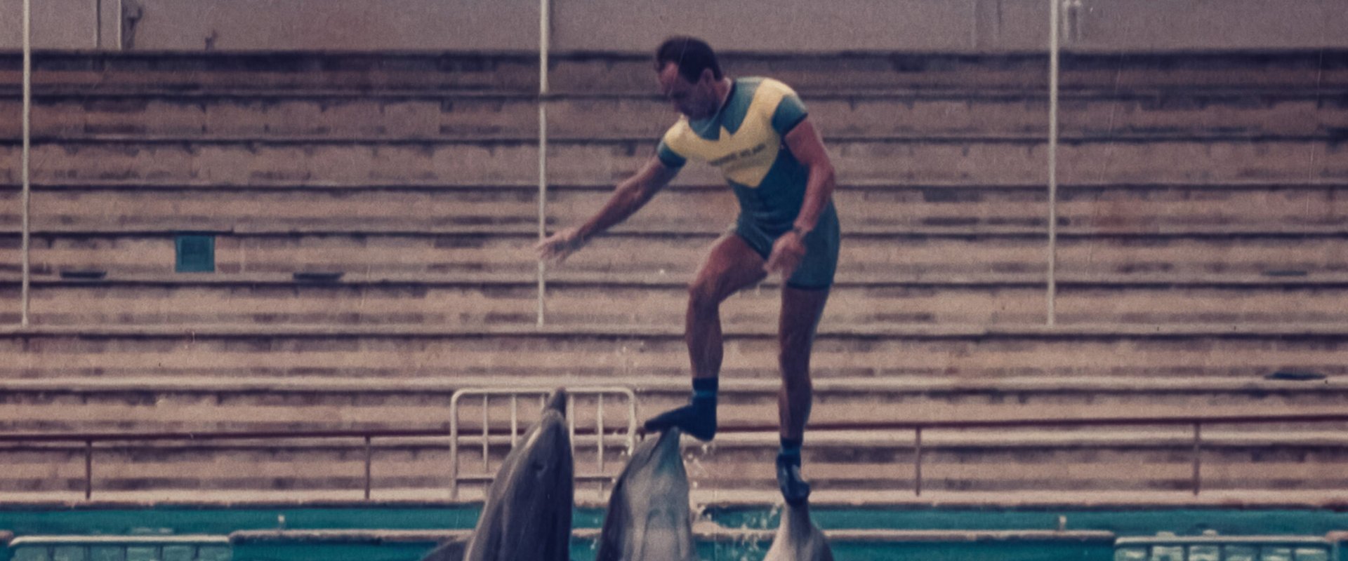 The Last Dolphin King