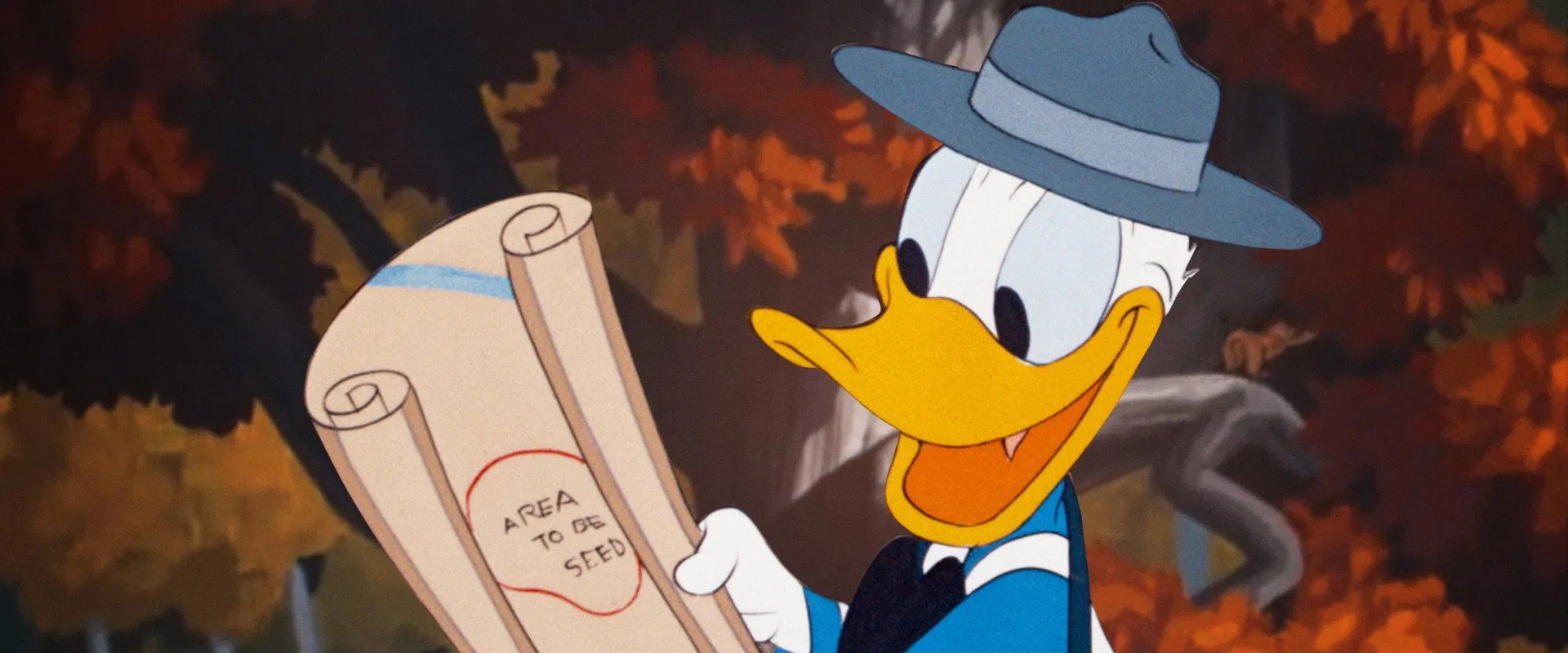 Duck Flies Coop's banner image
