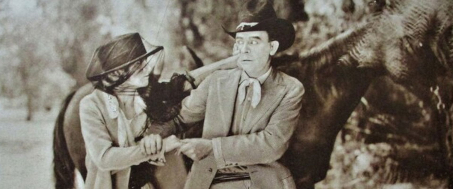 When Pals Fall Out's banner image