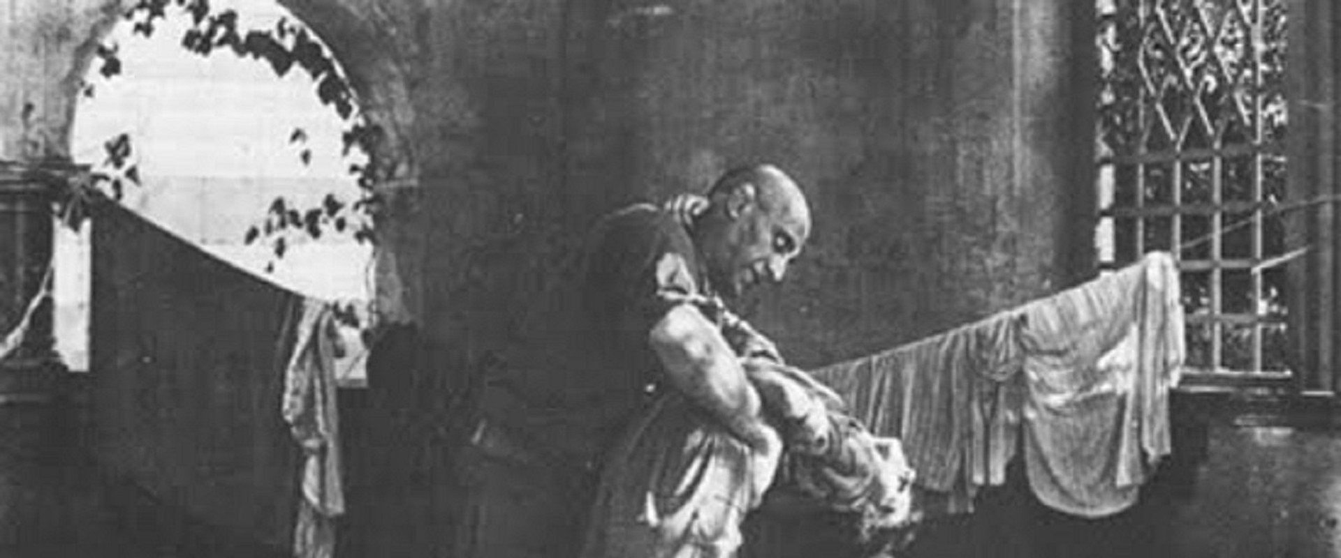 Il Mostro di Frankenstein