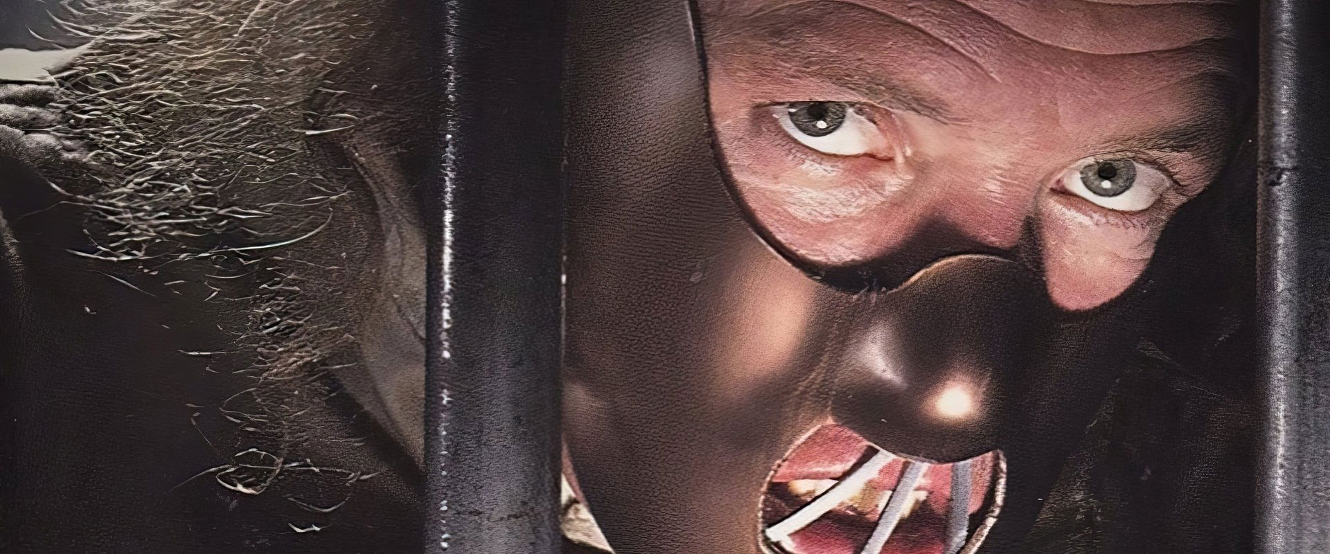 Confessions of a Serial Killer