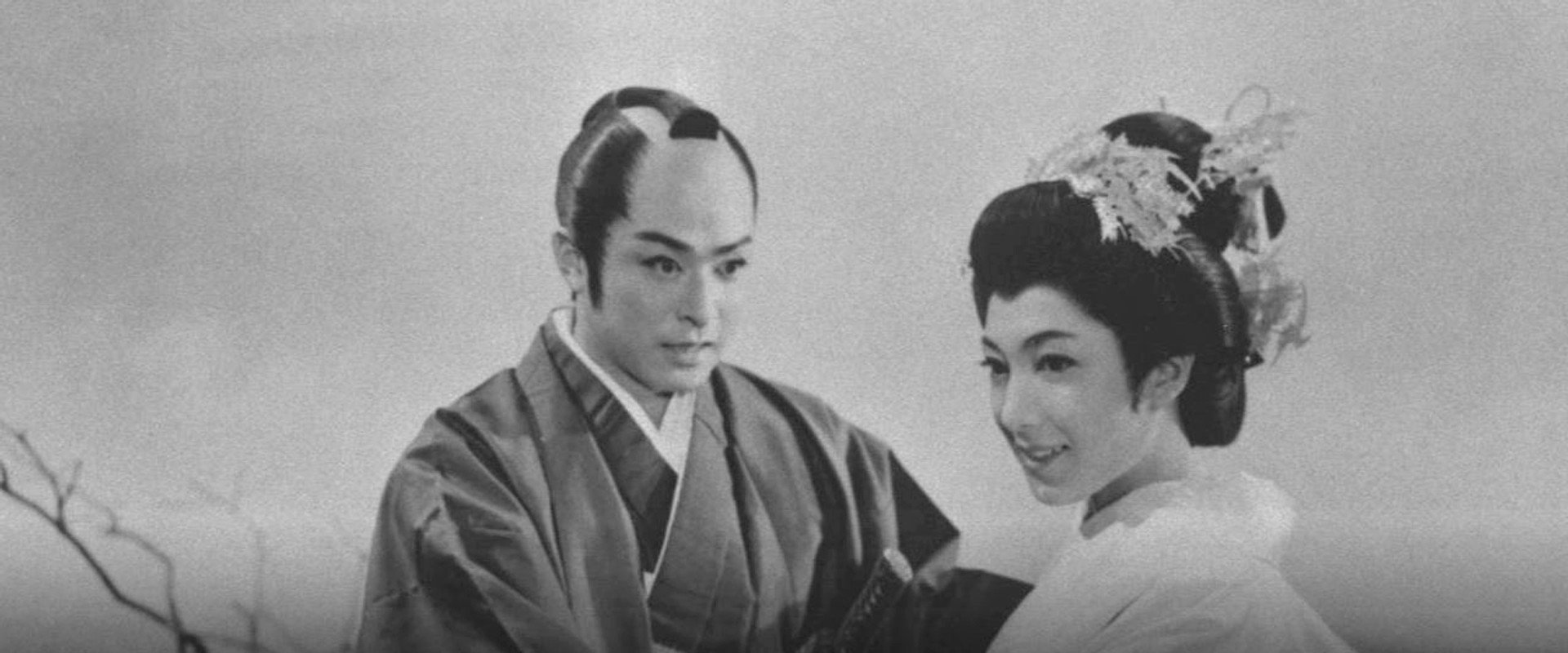 The Scarlet Cherry Lord's banner image