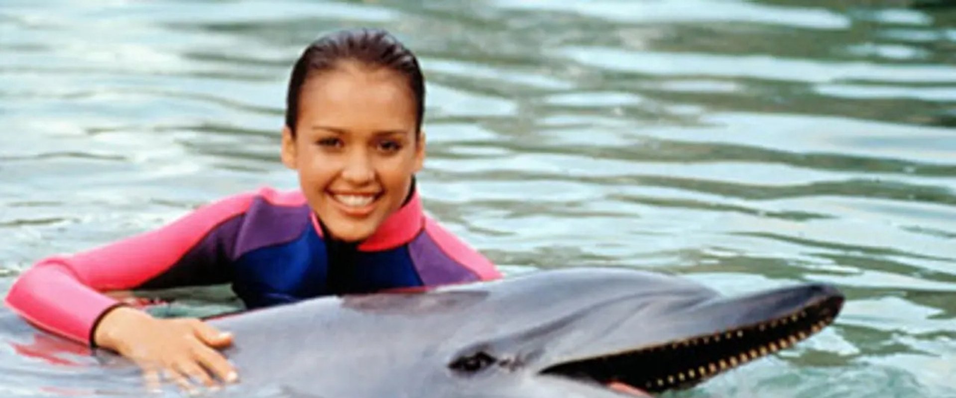 Flipper