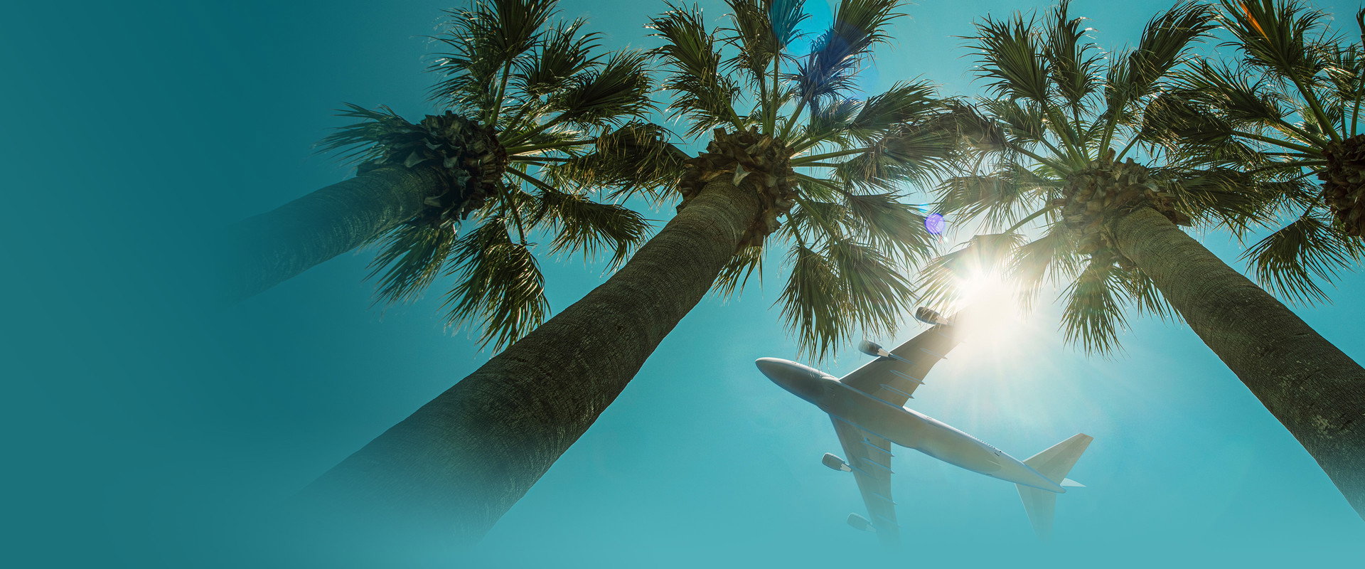 Airport 24/7: Miami