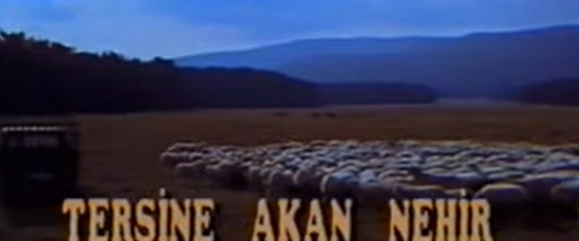 Tersine Akan Nehir's banner image
